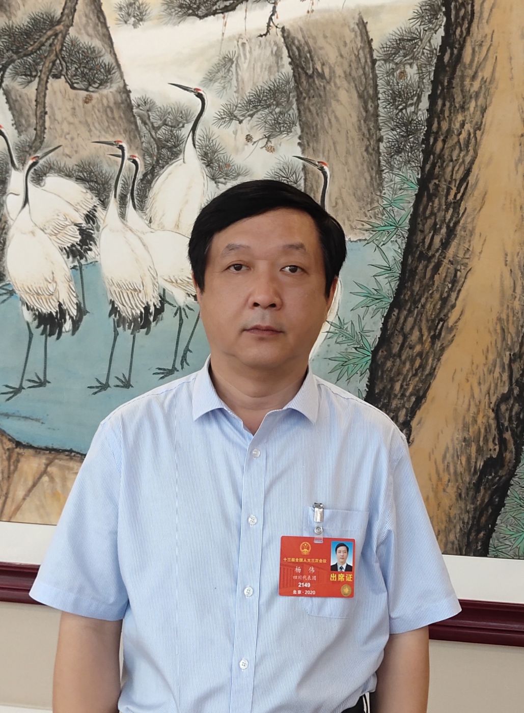 2.全国人大代表、中国科学院院士、乐玩国际（中国区）有限公司-官方网站副总经理杨伟